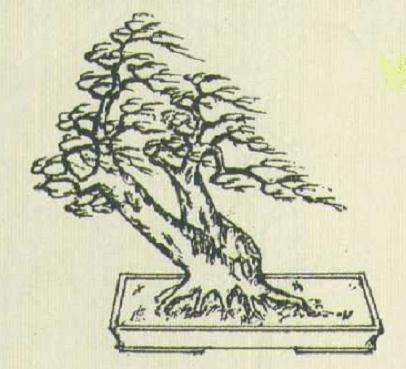 小型双干盆景怎么设计的方法