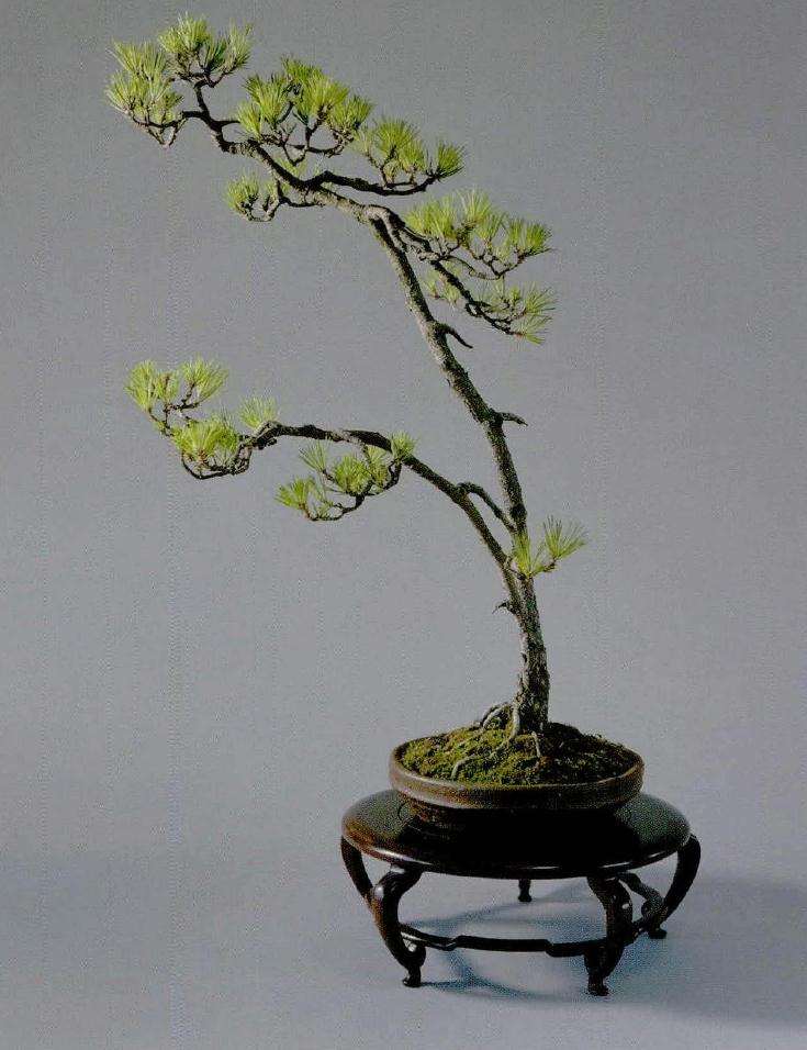 《逸趣》素材很为普通