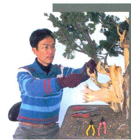 陈建勇,台湾高雄人