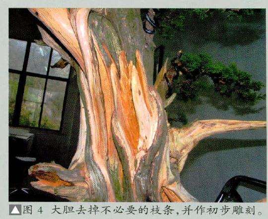 盆景作初步雕刻