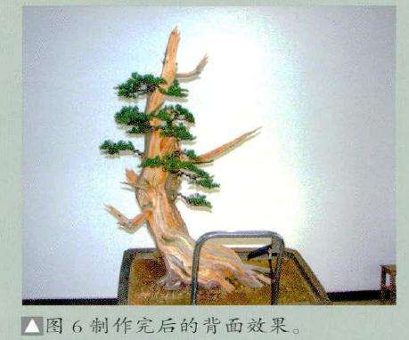 制作盆景完后的背面效果