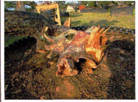 巧妙运用藏露关系处理断头