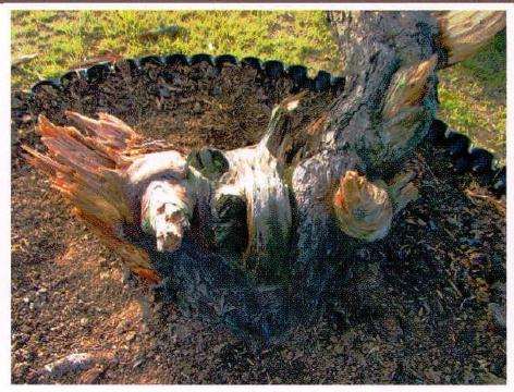 中空法破平并清理纹路