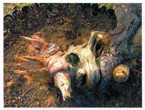 巧妙运用藏露关系处理断头