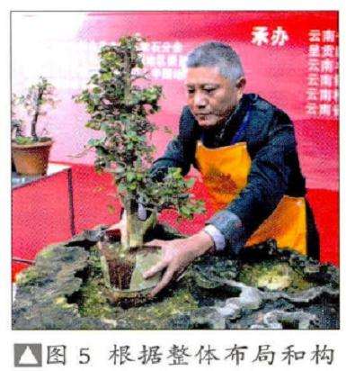 根据整体布局和构图需要