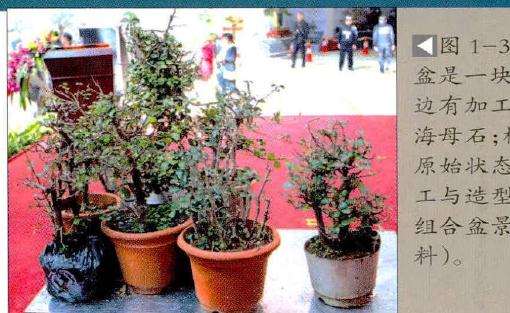 用盆是一块天然云盆