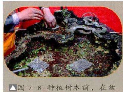 在盆底的排水孔中安放好胶网