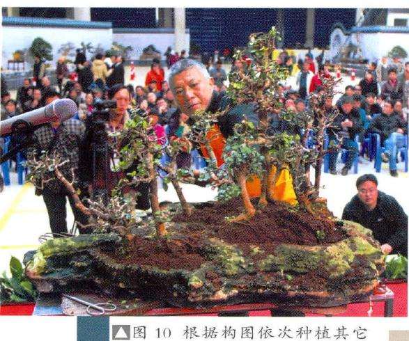 露藏等的运用和处理