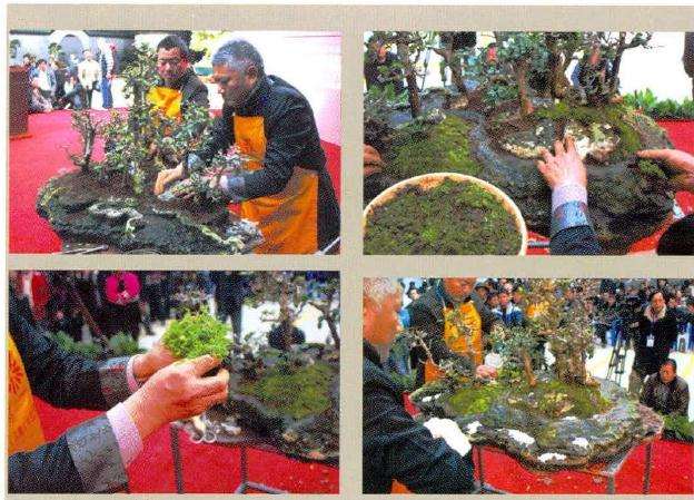 盆景加工和配置山石