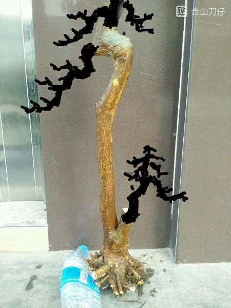 我的山桔下山桩的设计图