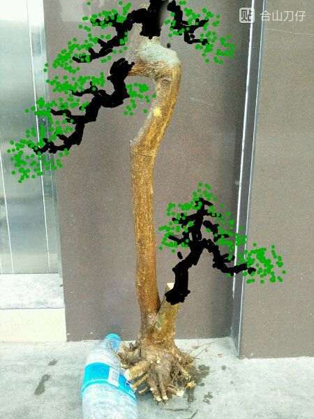 我的山桔下山桩的设计图