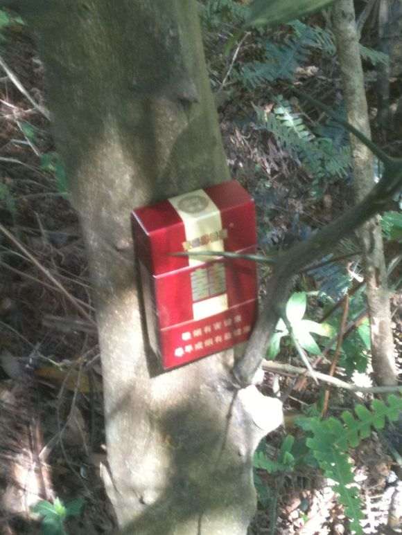 这个是不是山桔下山桩 怎么区别