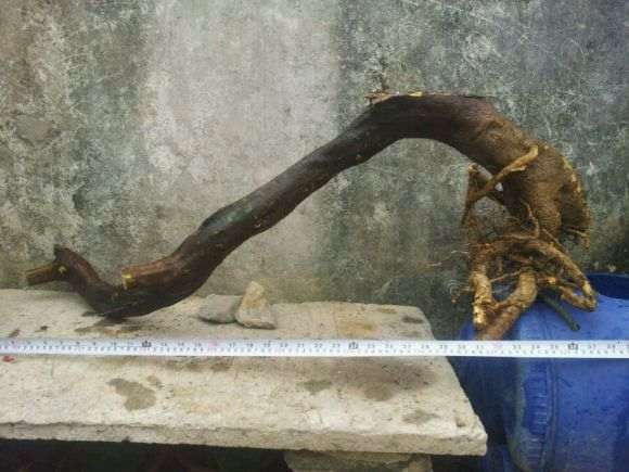 过桥大山桔下山桩