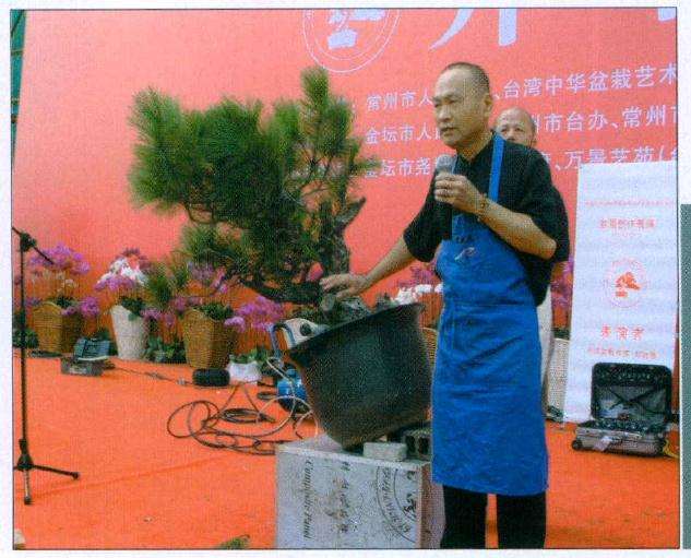 在对树桩进行仔细的分析后