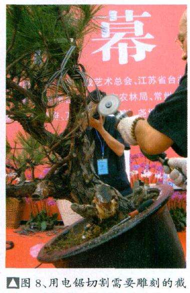 用电锯切割需要雕刻的盆景截面