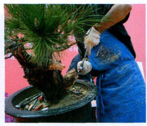 在舍利雕刻过程中