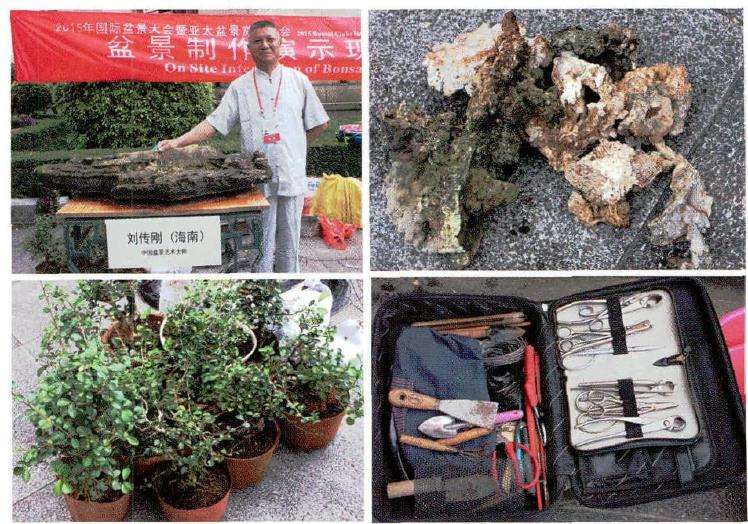 图解 风动式树石盆怎么制作的31个过程