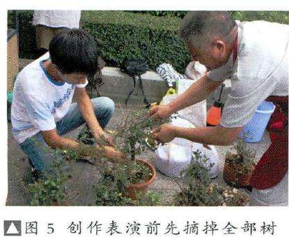 图解 风动式树石盆怎么制作的31个过程