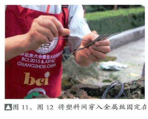 图解 风动式树石盆怎么制作的31个过程