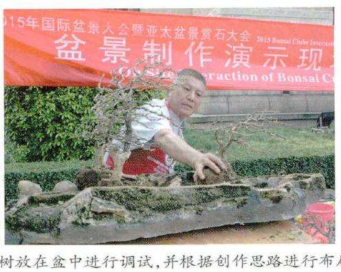 图解 风动式树石盆怎么制作的31个过程