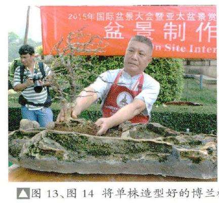 图解 风动式树石盆怎么制作的31个过程