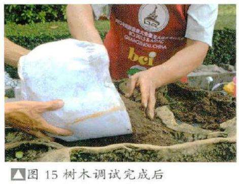图解 风动式树石盆怎么制作的31个过程