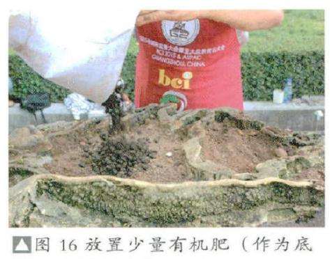 图解 风动式树石盆怎么制作的31个过程