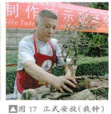 图解 风动式树石盆怎么制作的31个过程