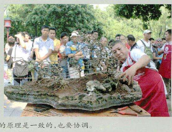 图解 风动式树石盆怎么制作的31个过程