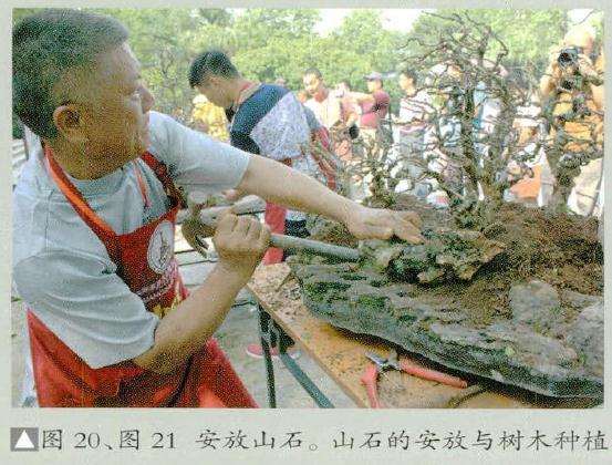 图解 风动式树石盆怎么制作的31个过程