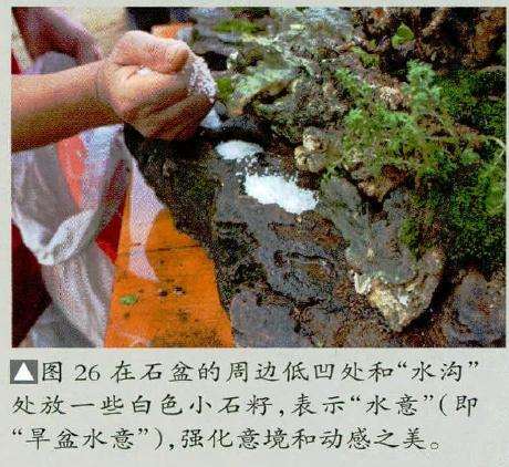 图解 风动式树石盆怎么制作的31个过程