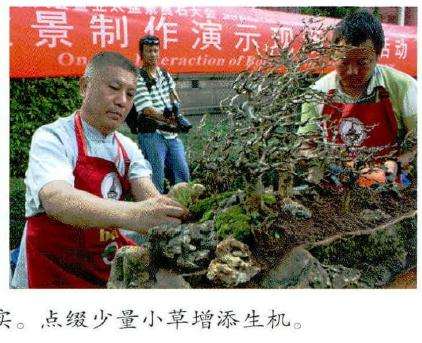 图解 风动式树石盆怎么制作的31个过程