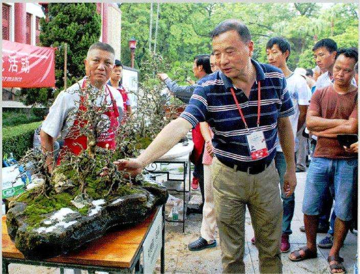 图解 风动式树石盆怎么制作的31个过程