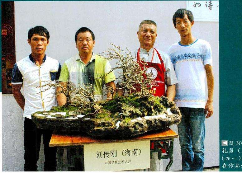 图解 风动式树石盆怎么制作的31个过程