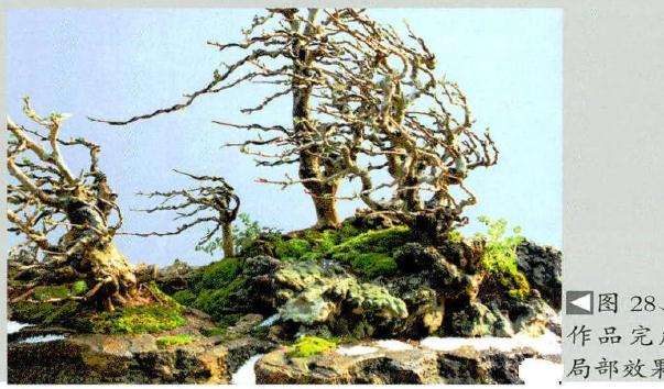 图解 风动式树石盆怎么制作的31个过程