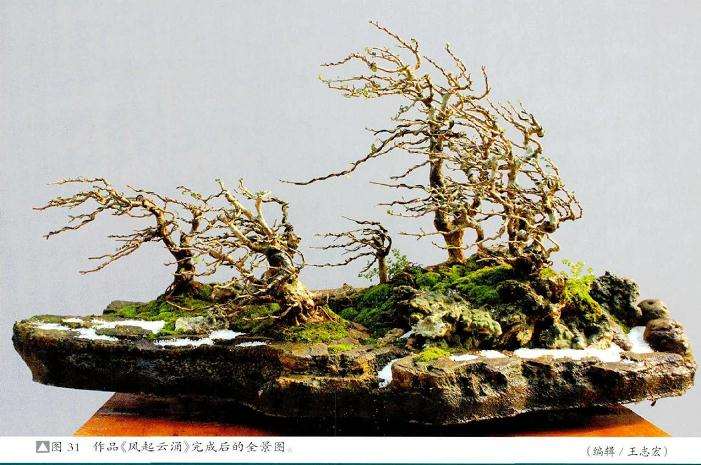 图解 风动式树石盆怎么制作的31个过程