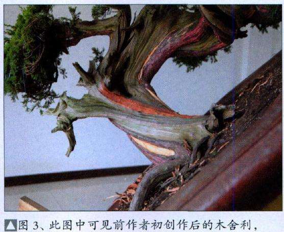 此图中可见前作者初制作后的木舍利