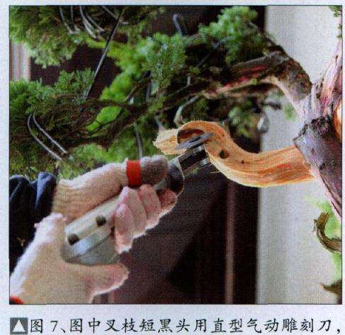 图中叉枝短黑头用直型气动雕刻刀