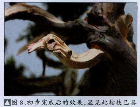 初步完成后的效果