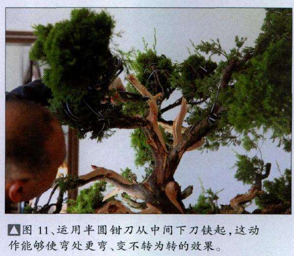 运用半圆钳刀从中间下刀铗起