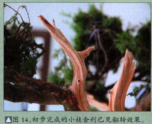 初步完成的小枝舍利已见翻转效果