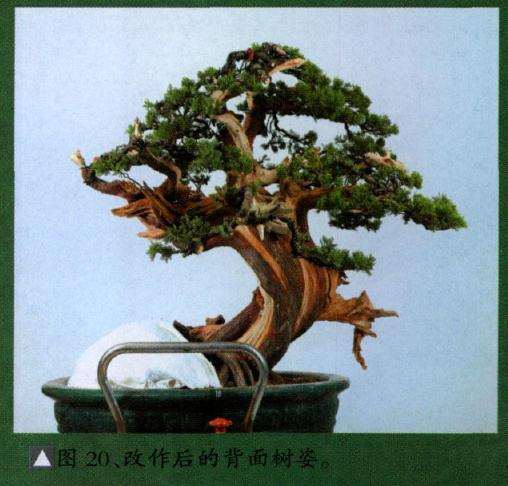 改作后的背面样子