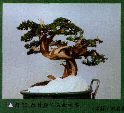 改作后的右边样子