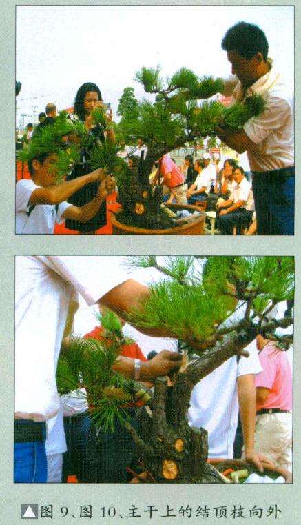 故用金属丝牵拉调整其角度