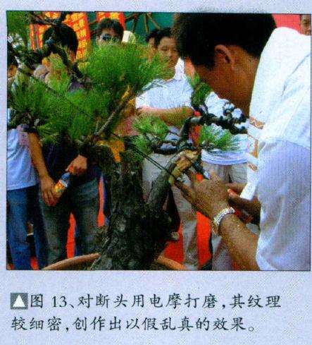 制作出以假乱真的效果