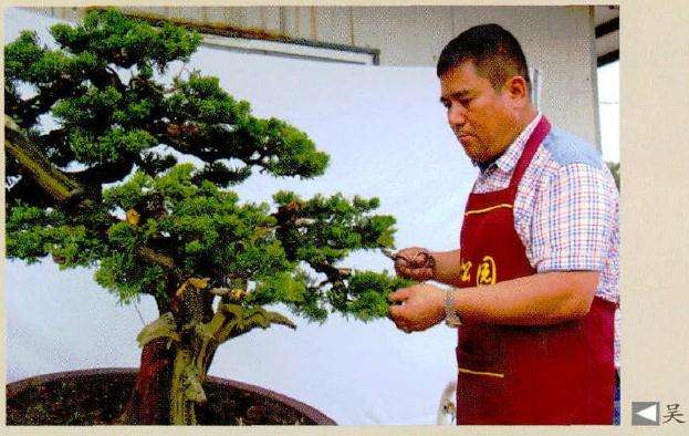 吴吉成先生在创作中