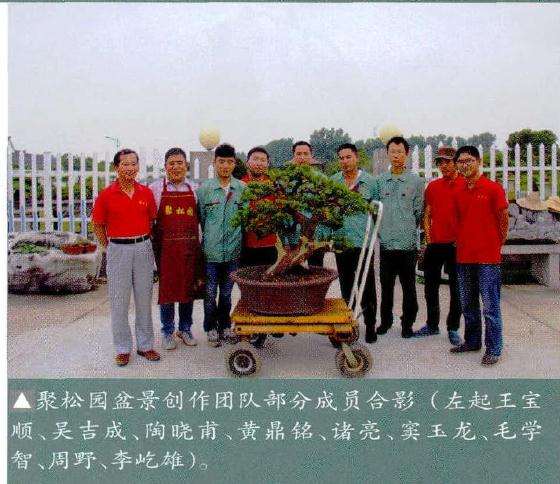 聚松园出资近30万元成功举办第二届网络盆景展