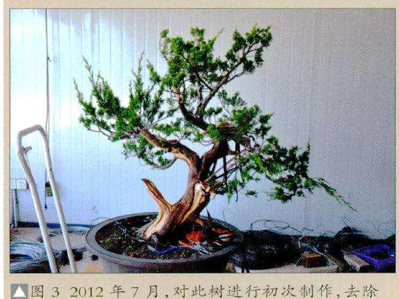 初次制作后舍利部分特写