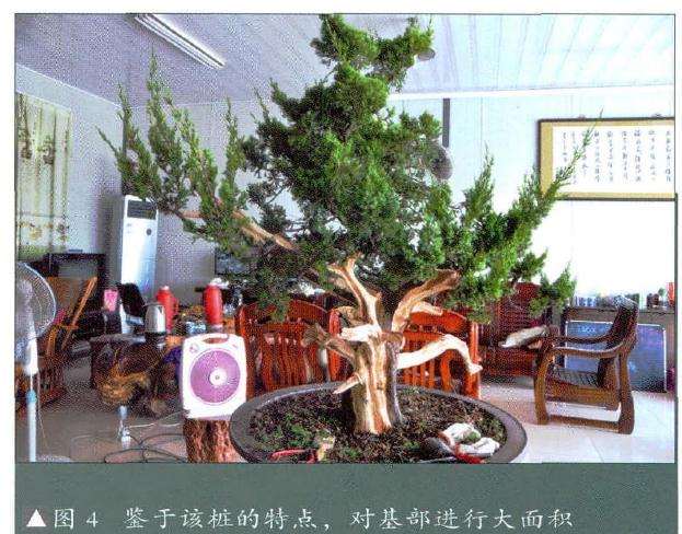 对基部进行大而积丝雕