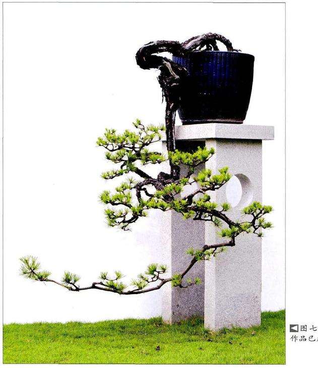 2009年存照作品已成形